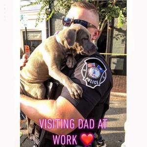 Meet your Posher, Van